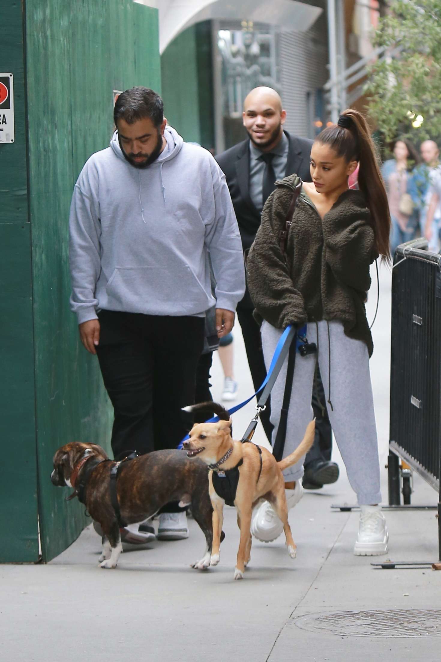 Ariana Grande â€“ Walking her dog in New York