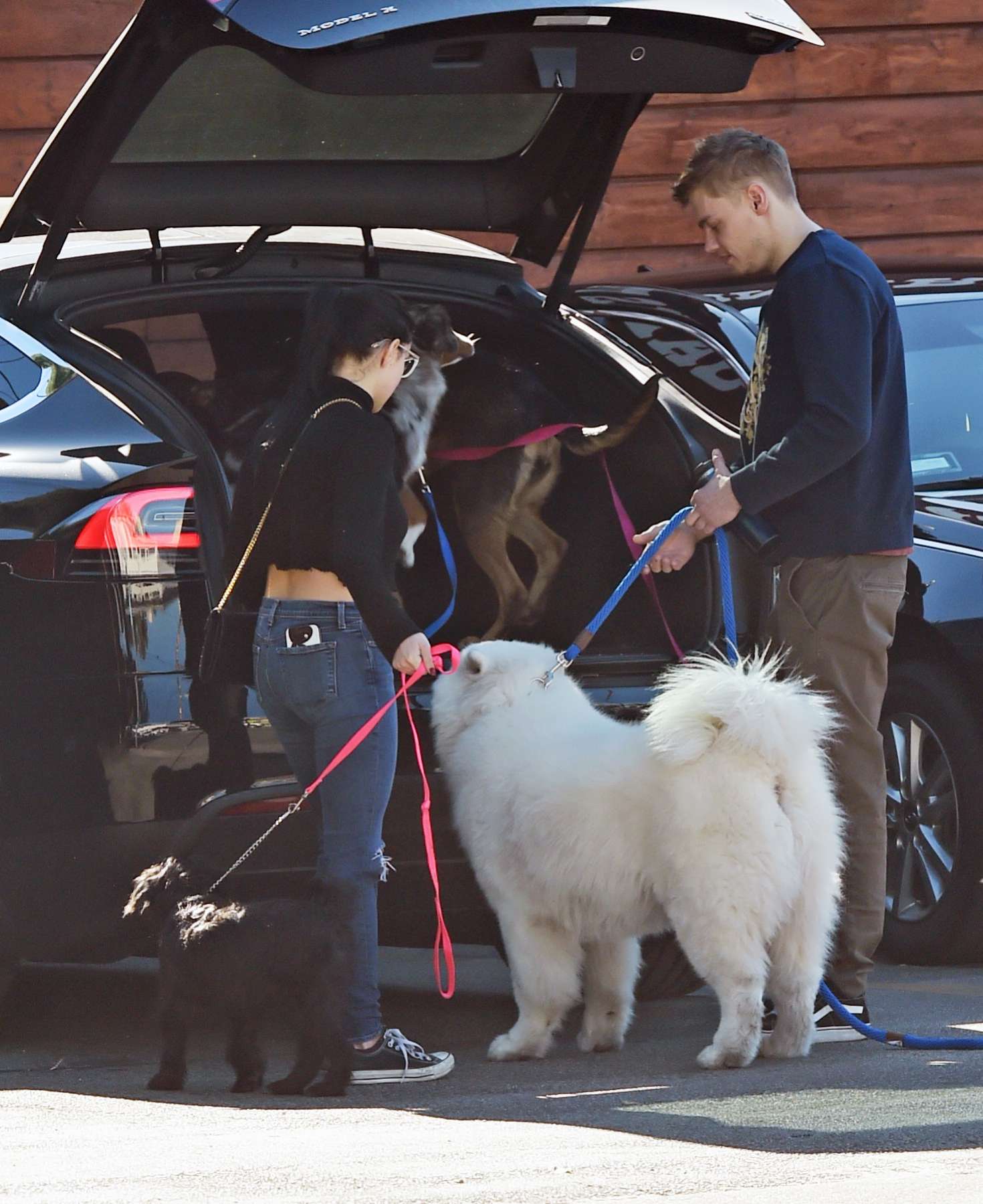 Ariel Winter and Levi Meaden take their dogs to the veterinarian in LA