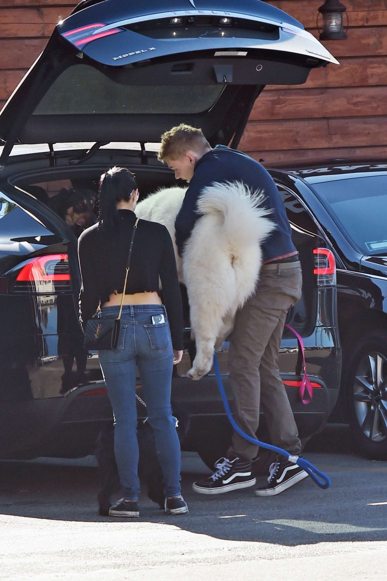 Ariel Winter and Levi Meaden take their dogs to the veterinarian in LA
