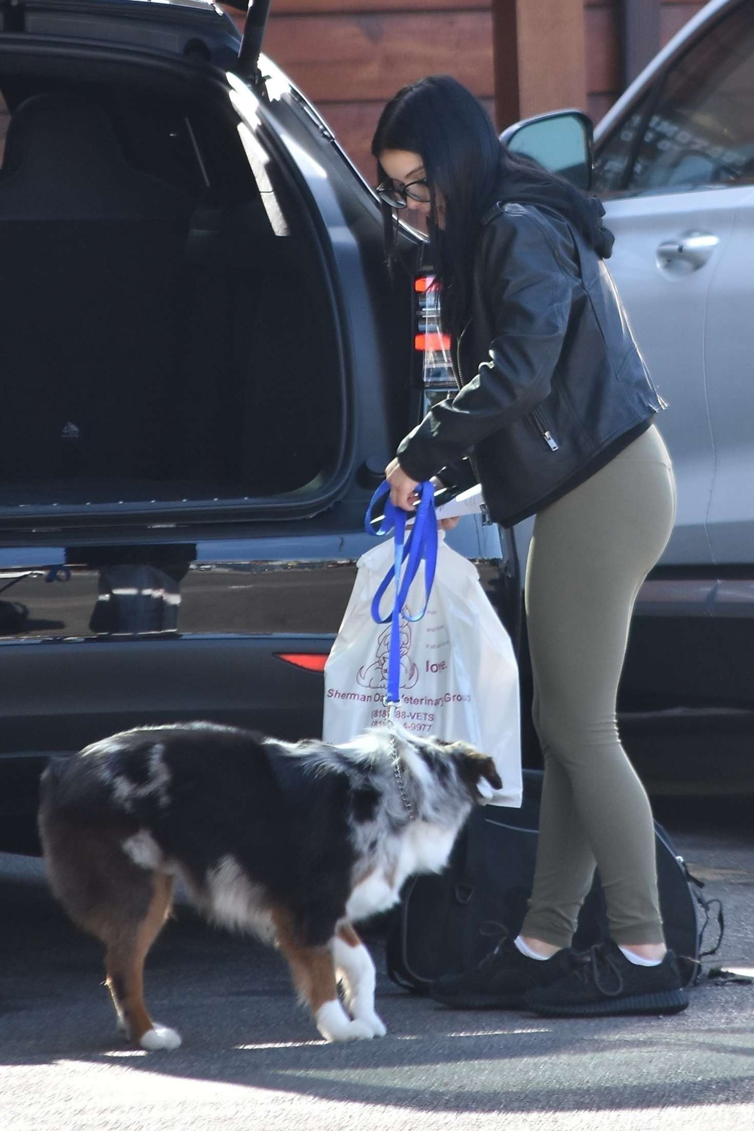 Ariel Winter in Green Tights â€“ Takes her dog to the vet in Sherman Oakes
