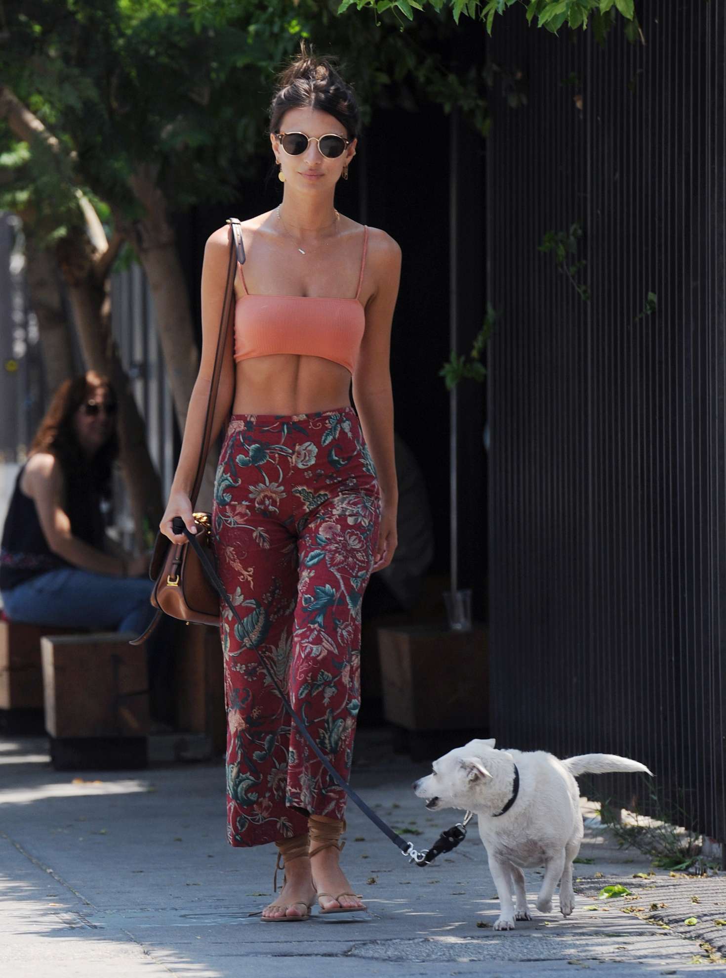 Emily Ratajkowski â€“ Walking her Dog in Los Angeles