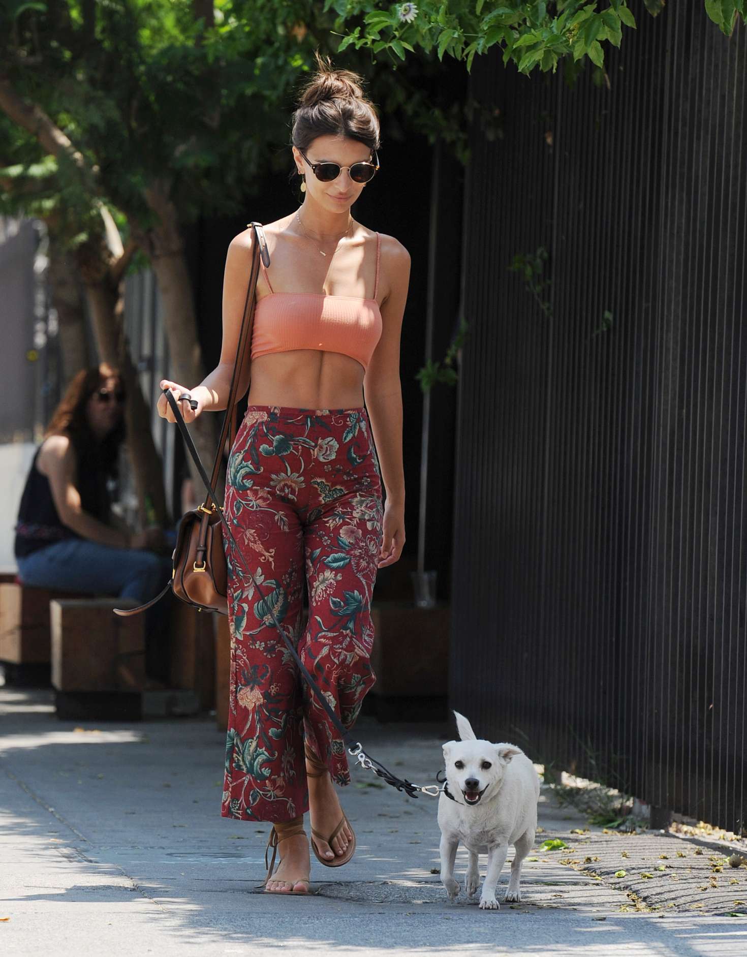 Emily Ratajkowski â€“ Walking her Dog in Los Angeles