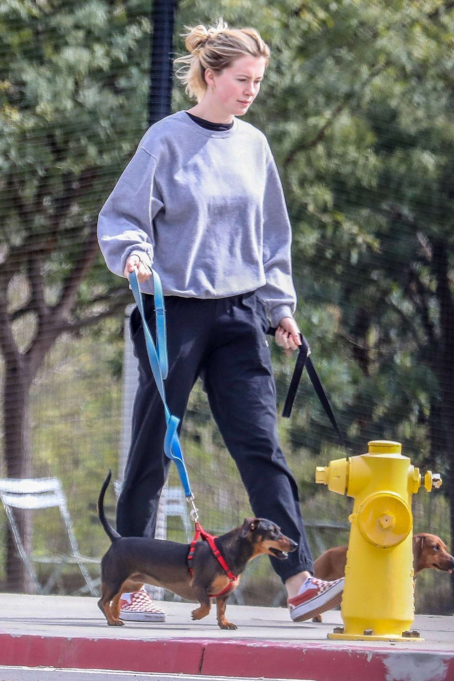 Ireland Baldwin with her Dog at a Park in Santa Monica
