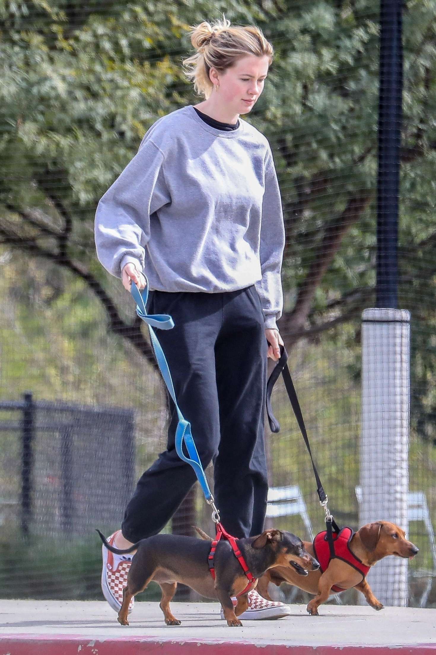 Ireland Baldwin with her Dog at a Park in Santa Monica