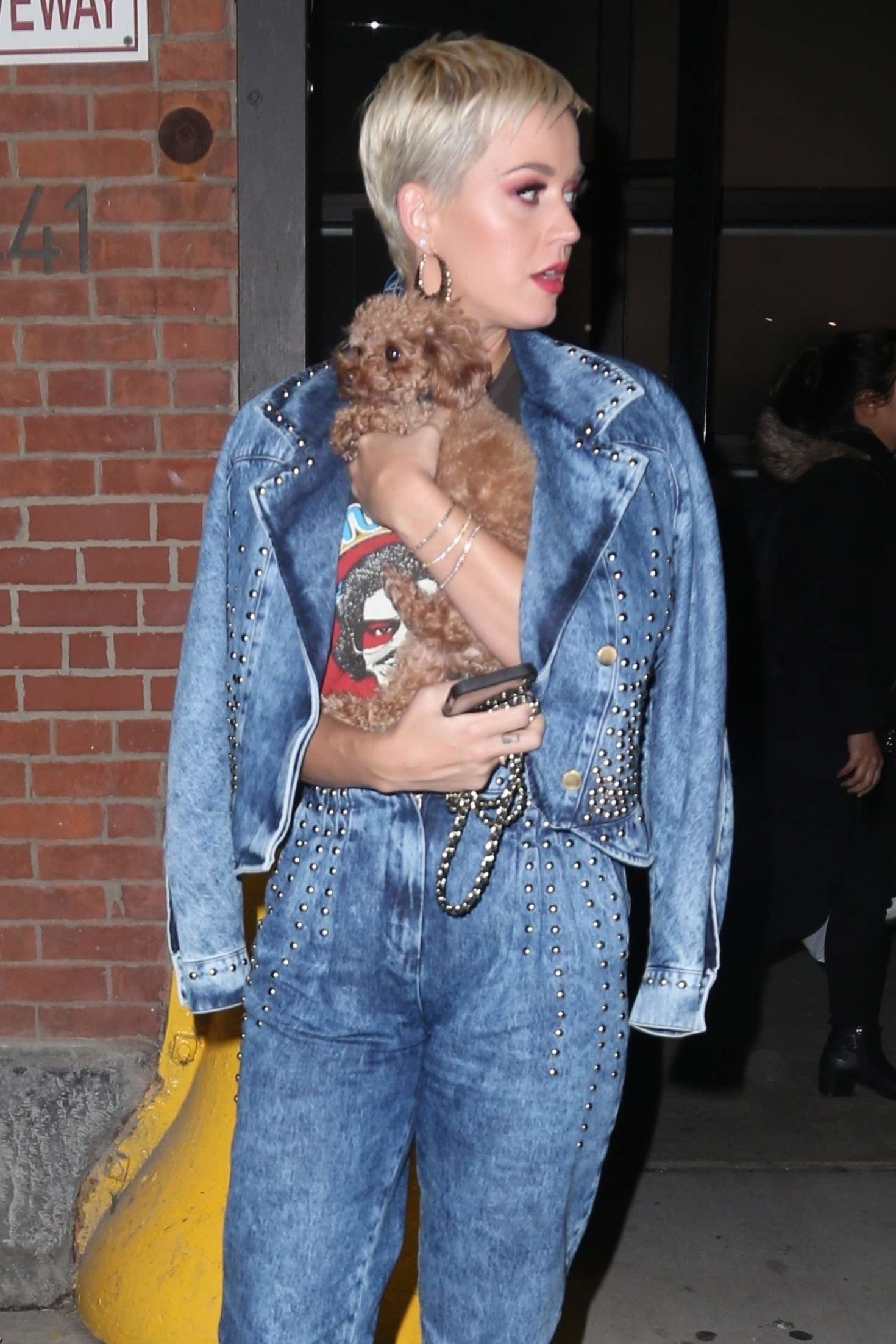 Katy Perry â€“ Out with her dog in NYC