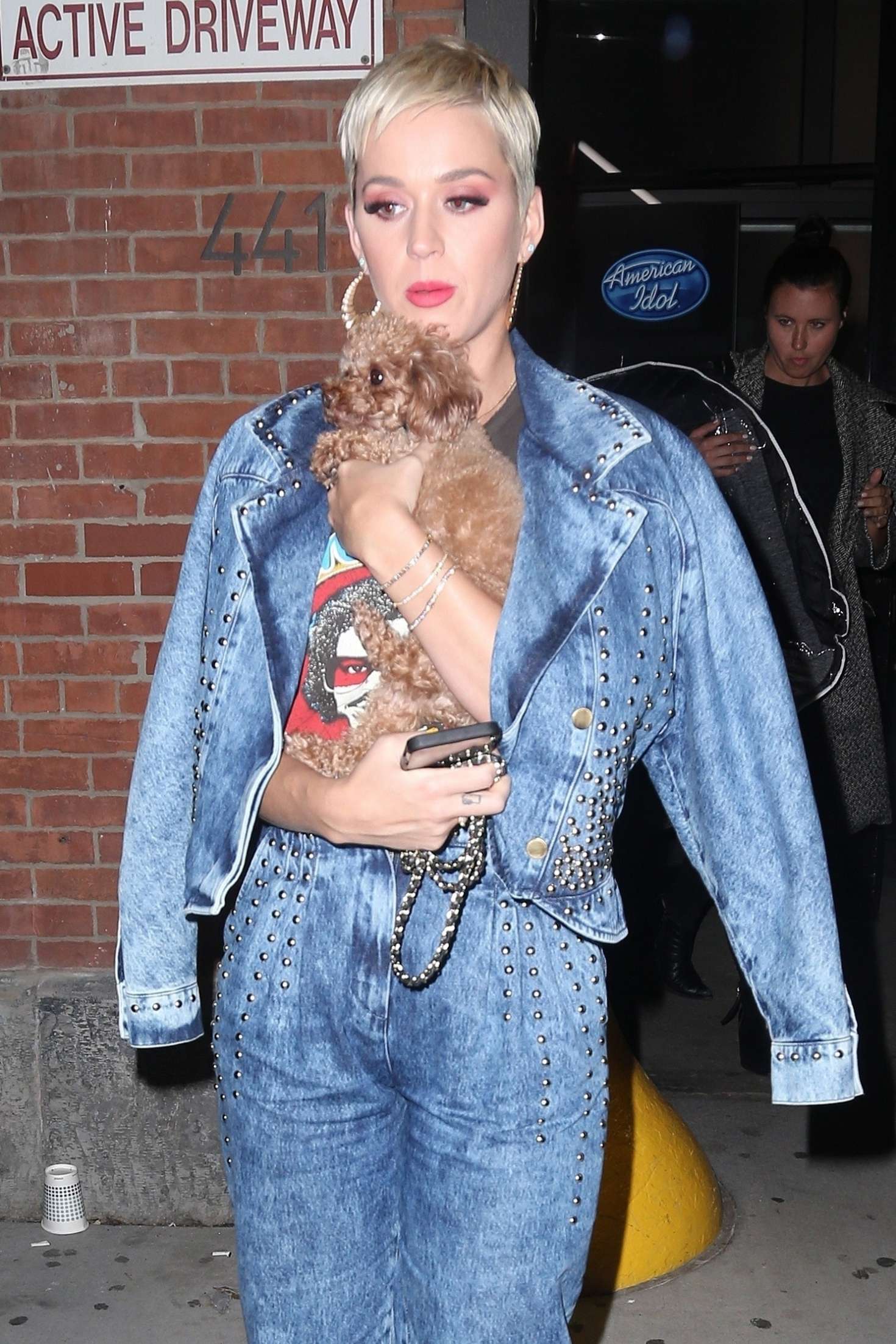 Katy Perry â€“ Out with her dog in NYC