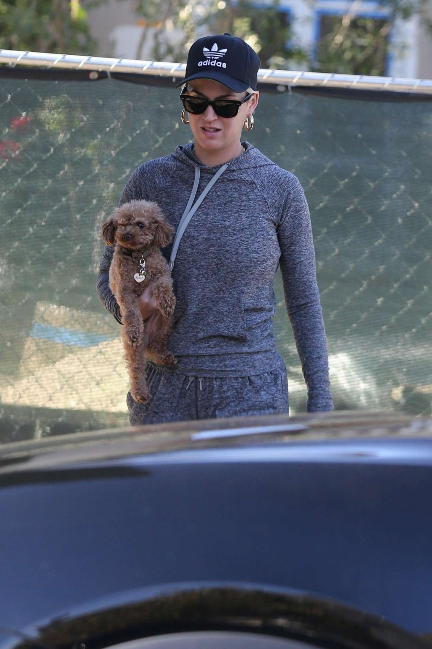 Katy Perry with her dog â€“ Out in Los Angeles
