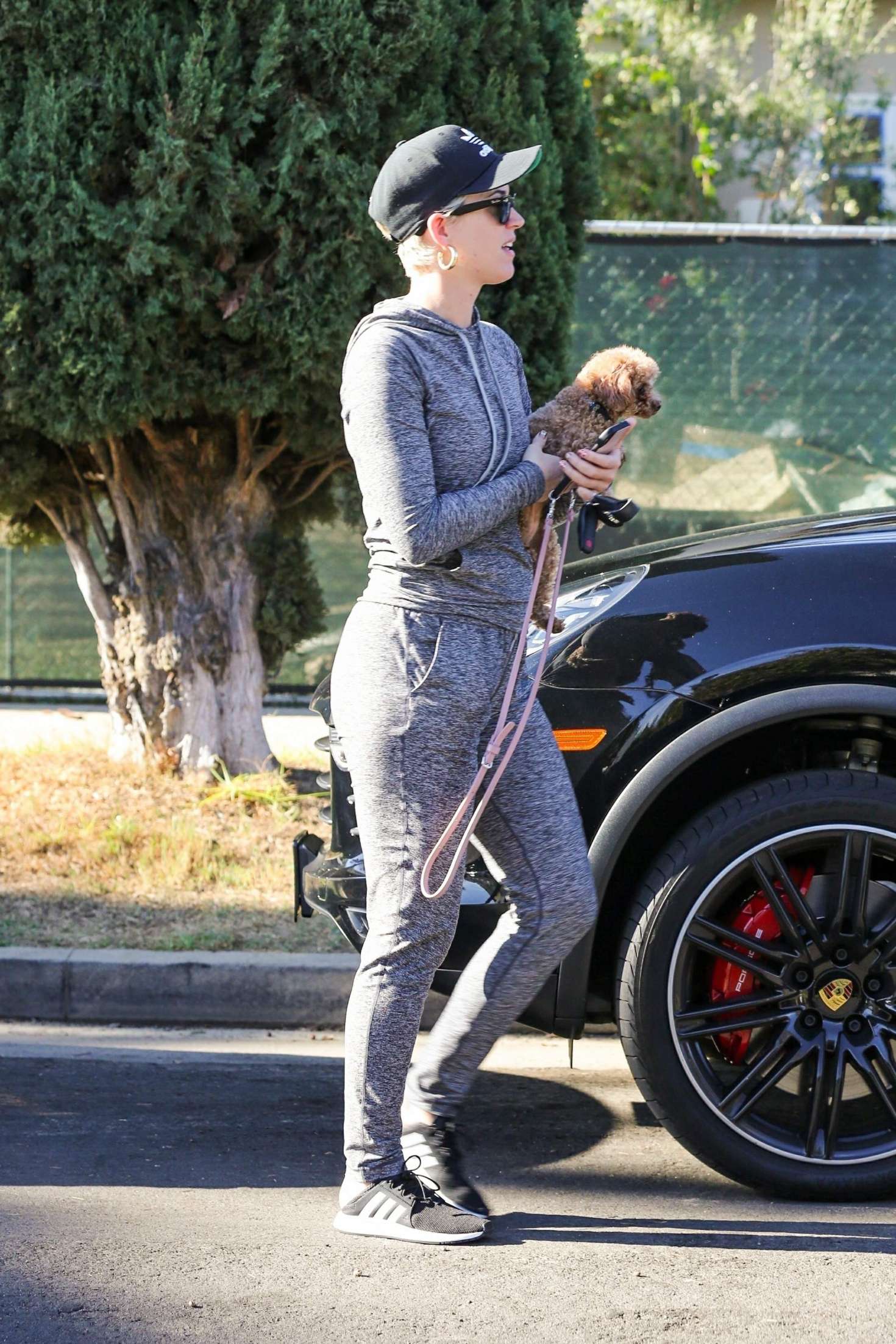 Katy Perry with her dog â€“ Out in Los Angeles