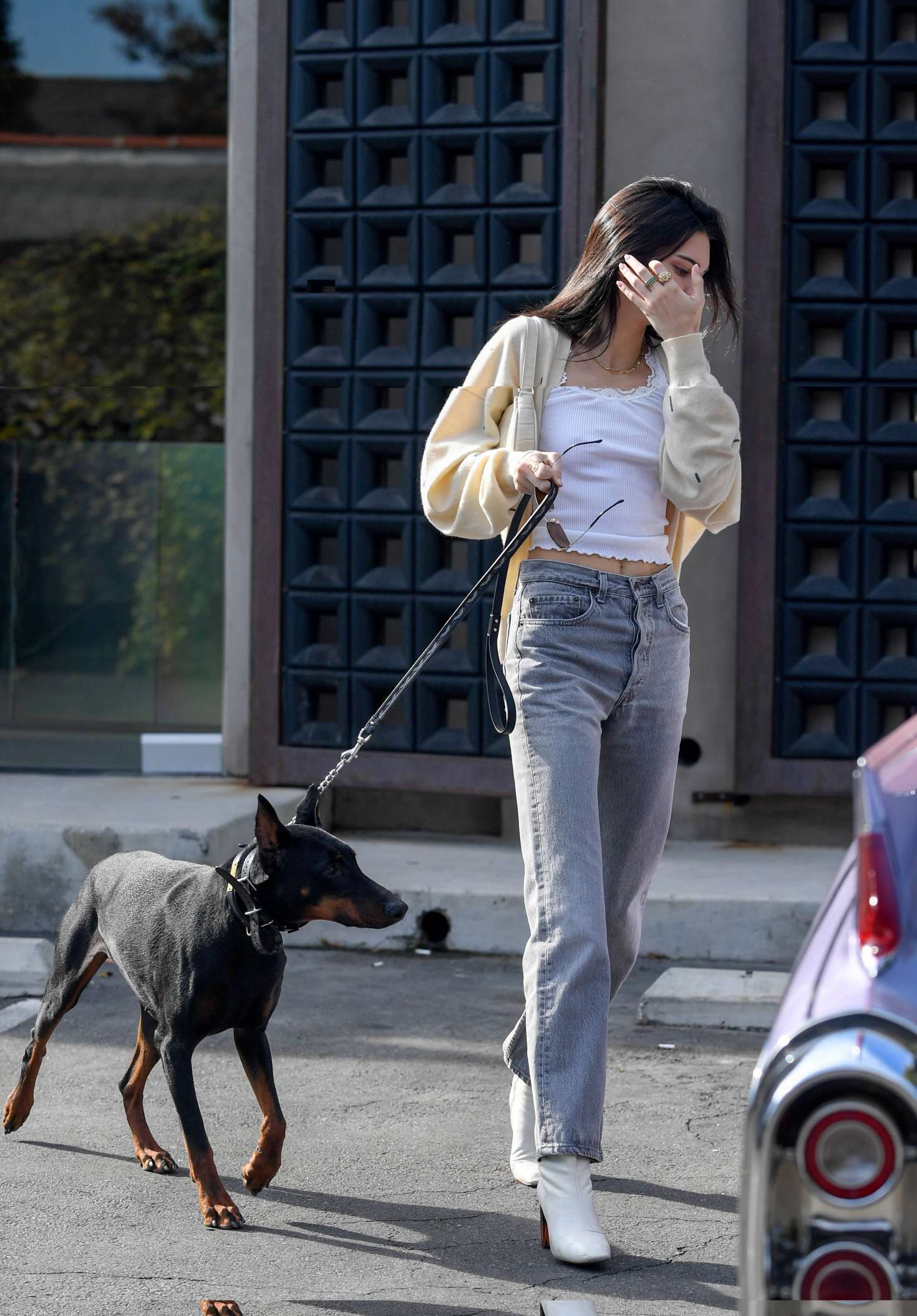 Kendall Jenner with her dog out for breakfast in LA