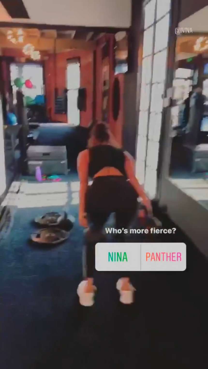Nina Dobrev Working out â€“ Instagram