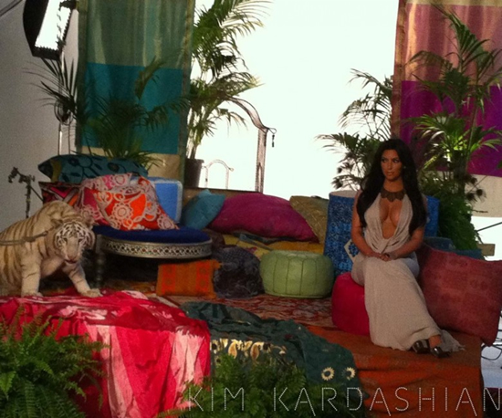 Kim Kardashian with a White Tiger Show Cleavage