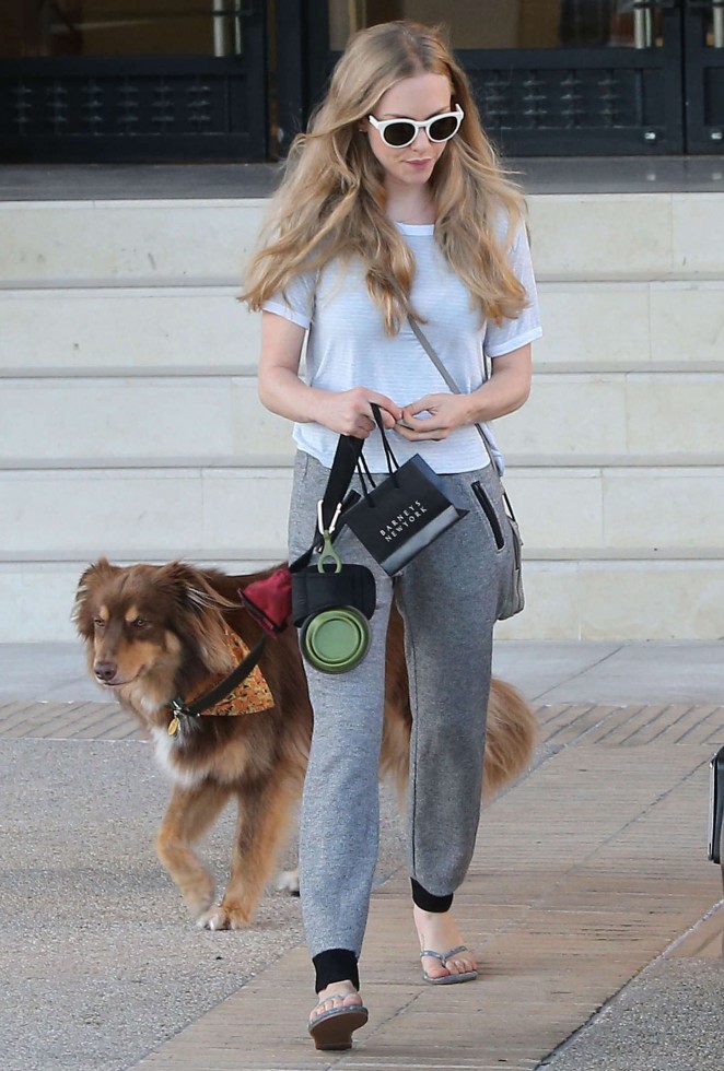 Amanda Seyfried Walking her dog in Beverly Hills