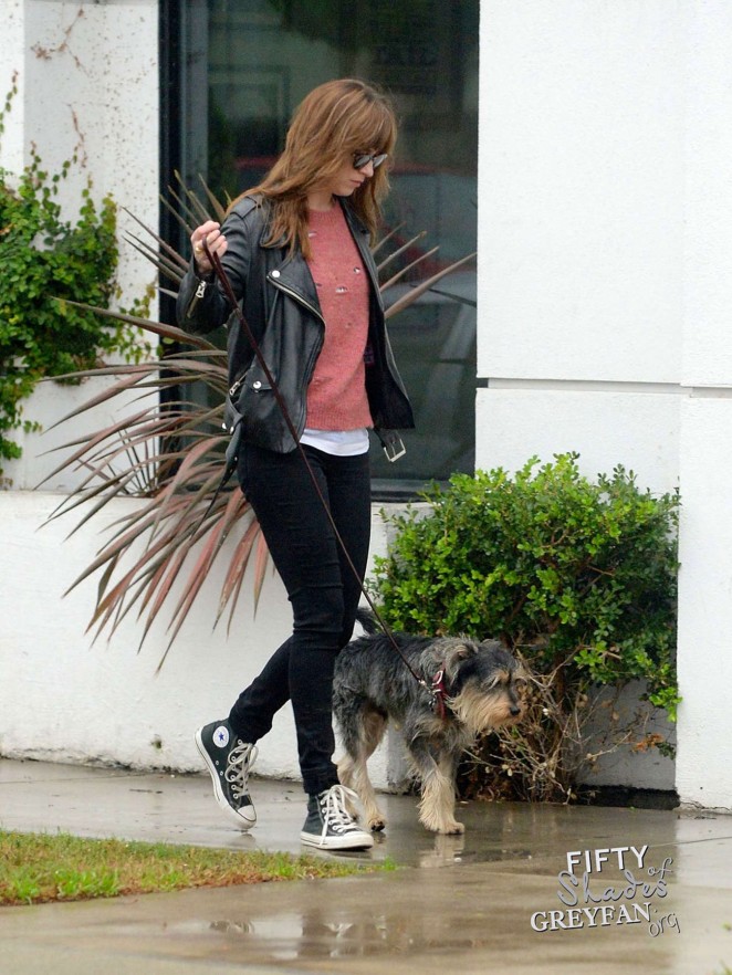 Dakota Johnson in Black Jeans walks her dog in Los Angeles