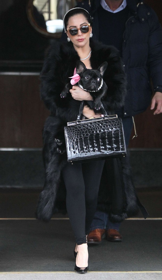 Lady Gaga With Her Dog Leaving her hotel in NY