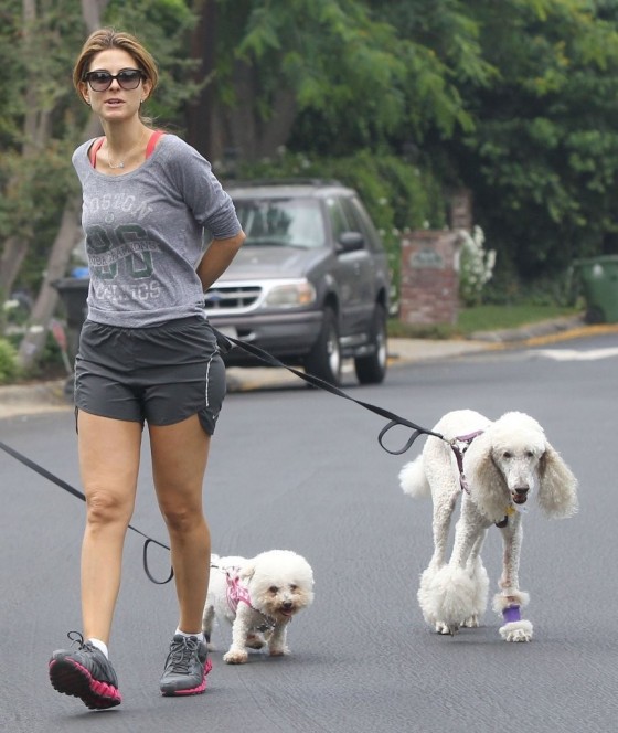Maria Menounos – walking her dogs in LA -09 – GotCeleb
