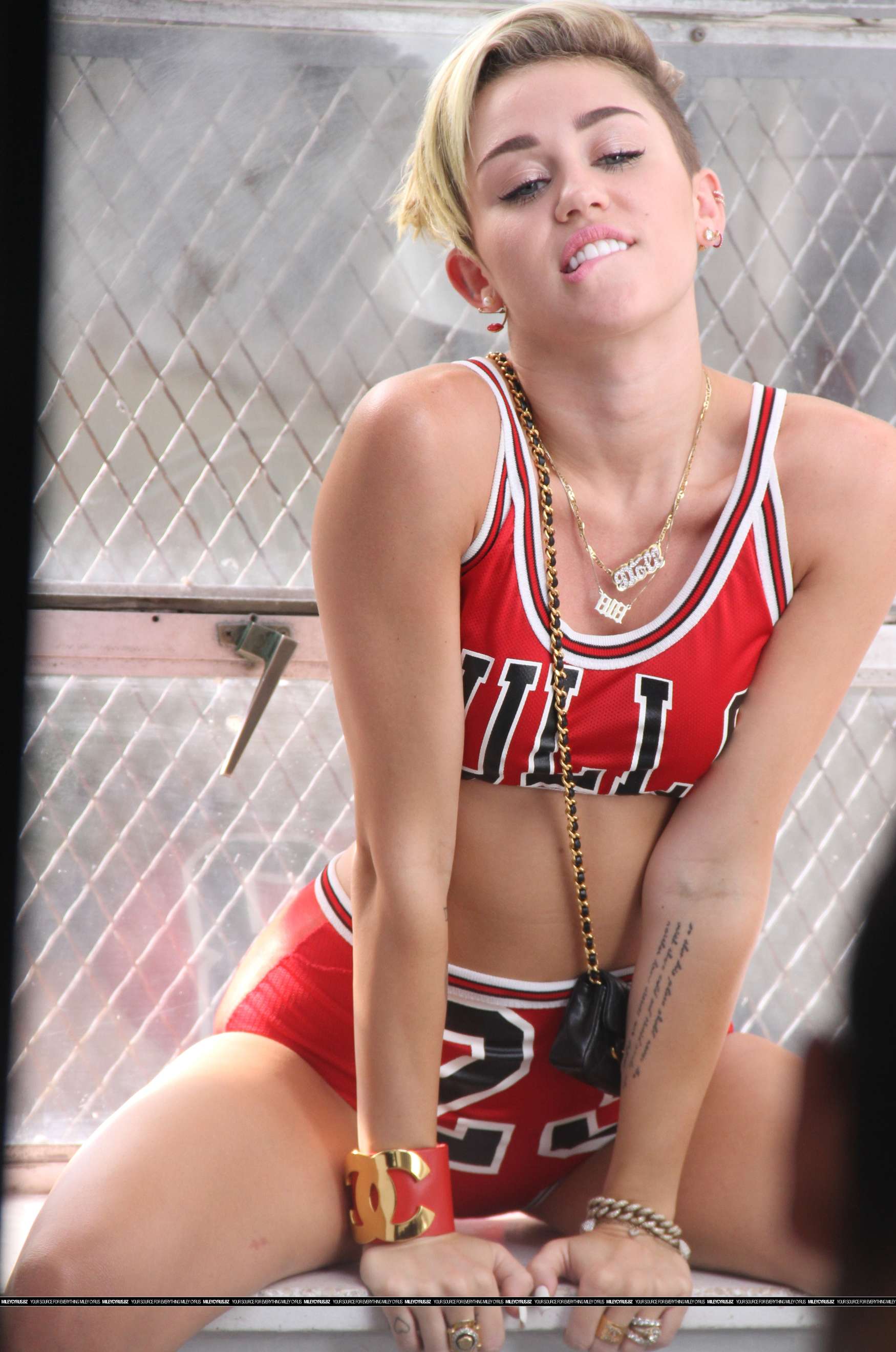 Miley Cyrus - 23 Music Video Portraits. 