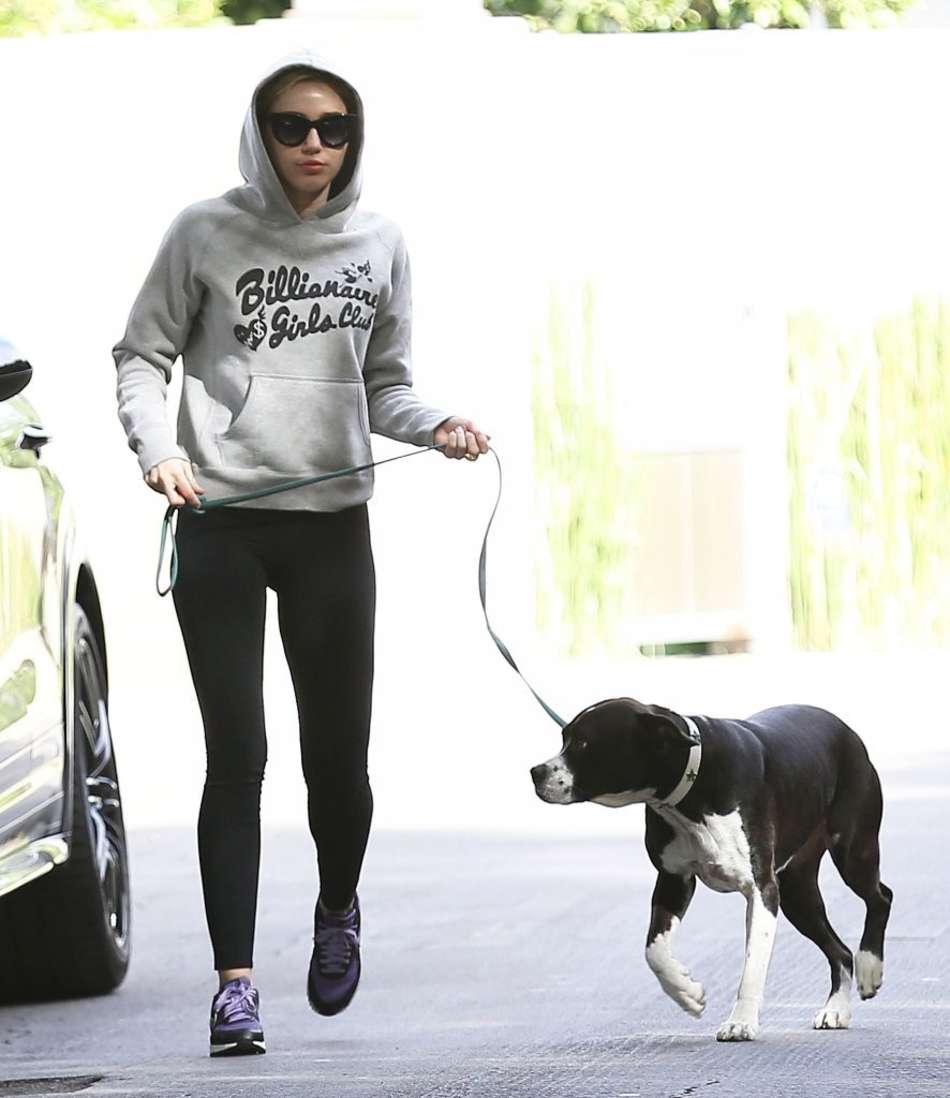 Miley Cyrus Takes a Stroll: A Dog-Walking Extravaganza in the Heart of LA