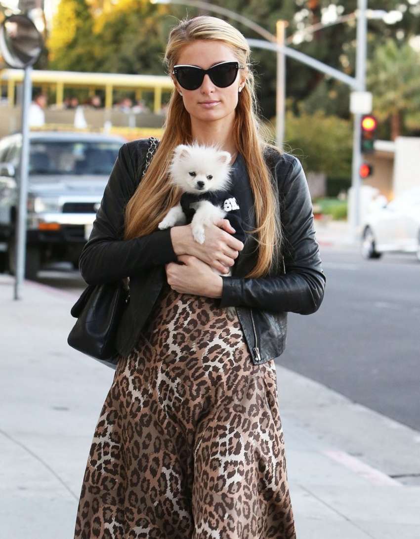 Paris Hilton in Leopard Print Dress -08 | GotCeleb
