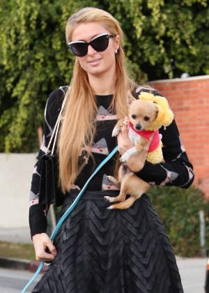 Paris Hilton with her dogs out in LA