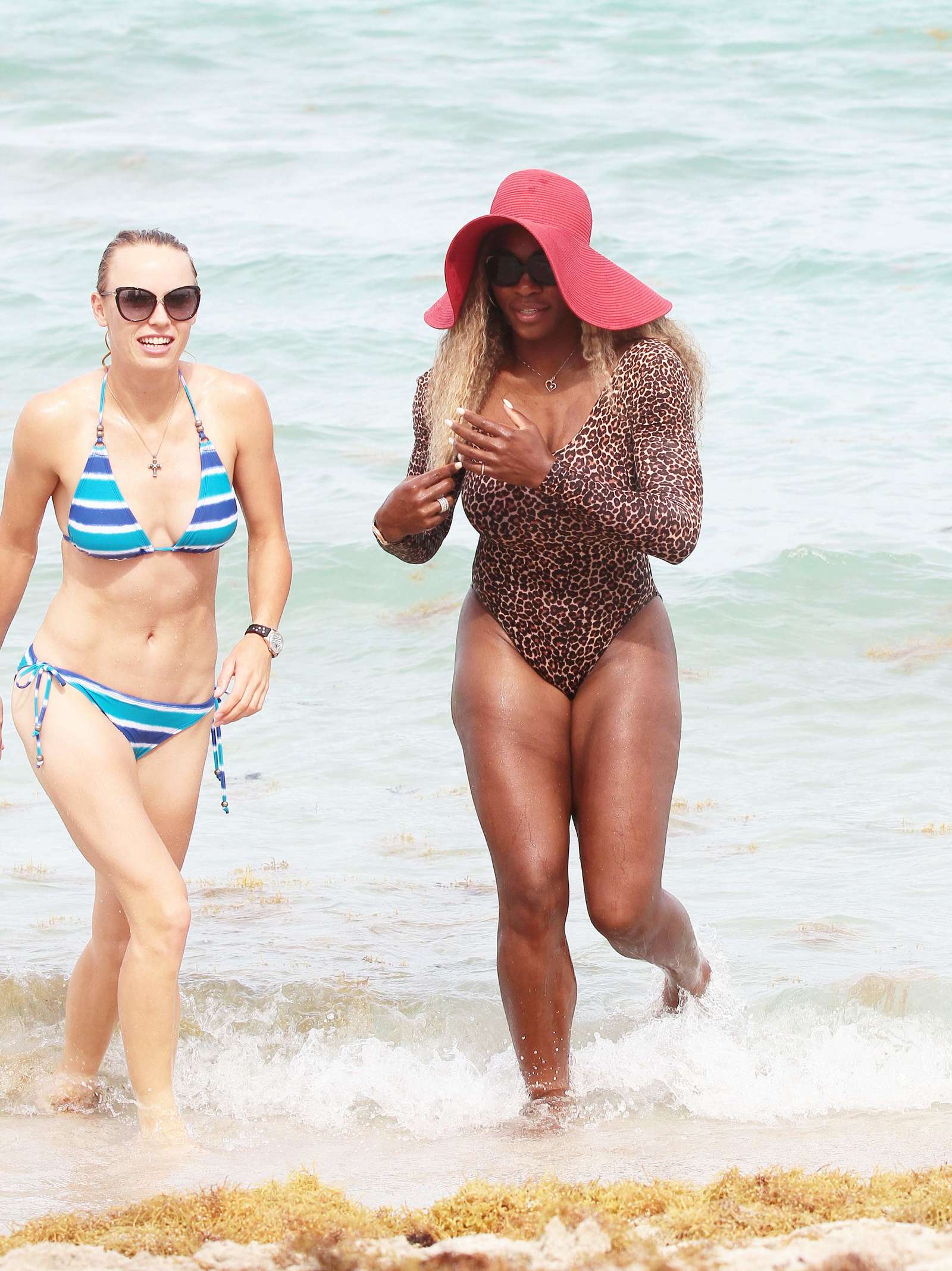 Serena Williams and Caroline Wozniacki in Bikini-32 | GotCeleb1600 x 2136