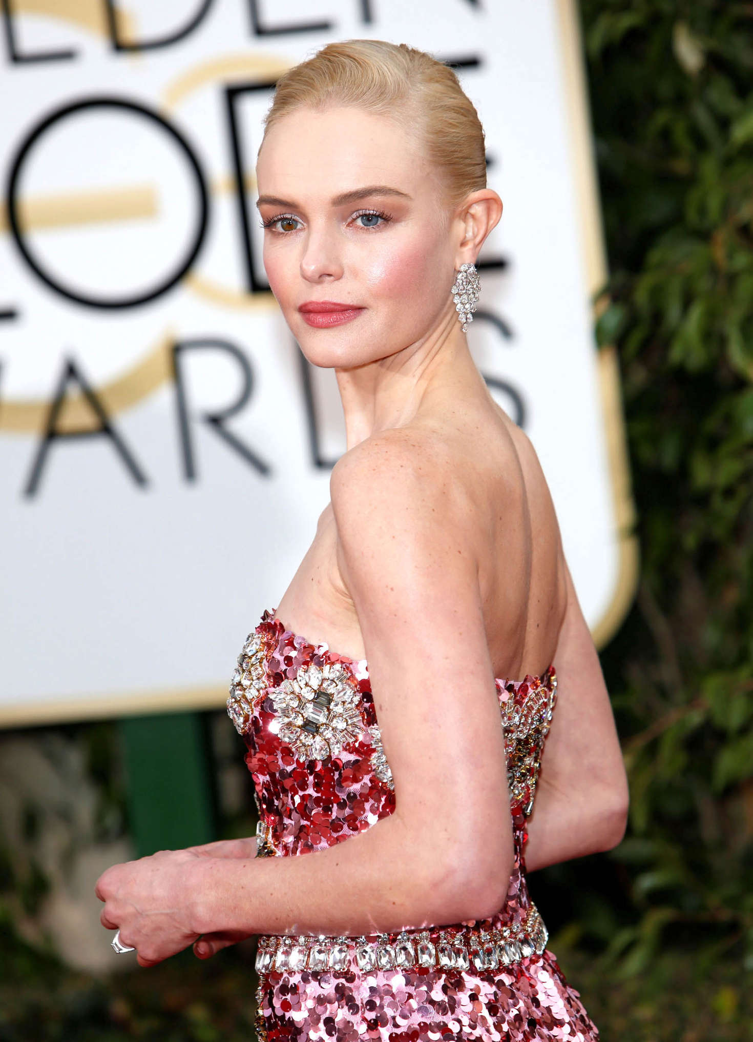 73rd Annual Golden Globe Awards Pictures -23 | GotCeleb
