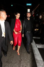 Adriana Lima - Arrives at 'Once Upon A Time in Hollywood' Premiere in Hollywood