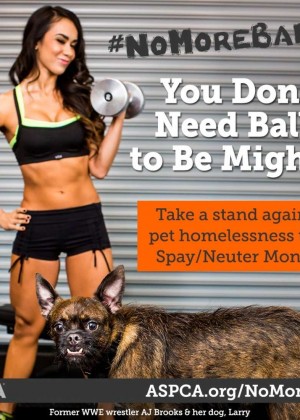 AJ Lee - ASPCA's #NoMoreBalls Campaign 2016