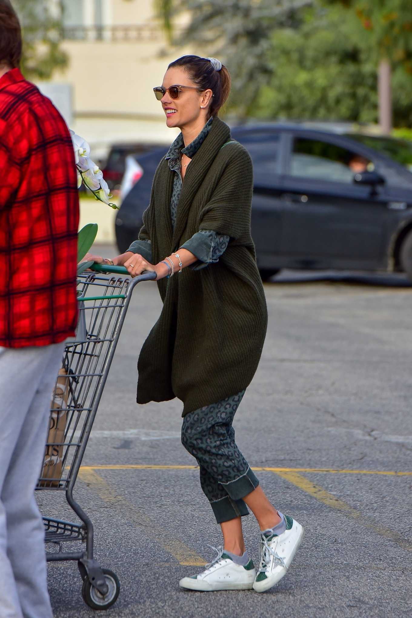 Alessandra Ambrosio â€“ Grocery shopping during â€˜Stay at homeâ€™ order in Santa Monica