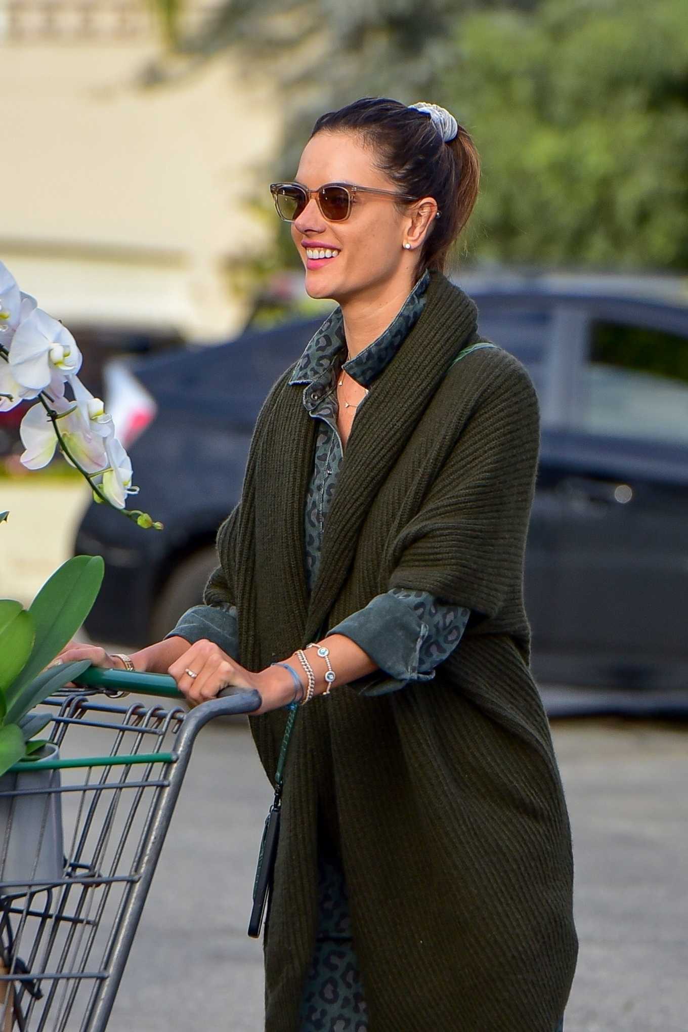 Alessandra Ambrosio â€“ Grocery Shopping During â€˜Stay At Homeâ€™ Order In Santa Monica