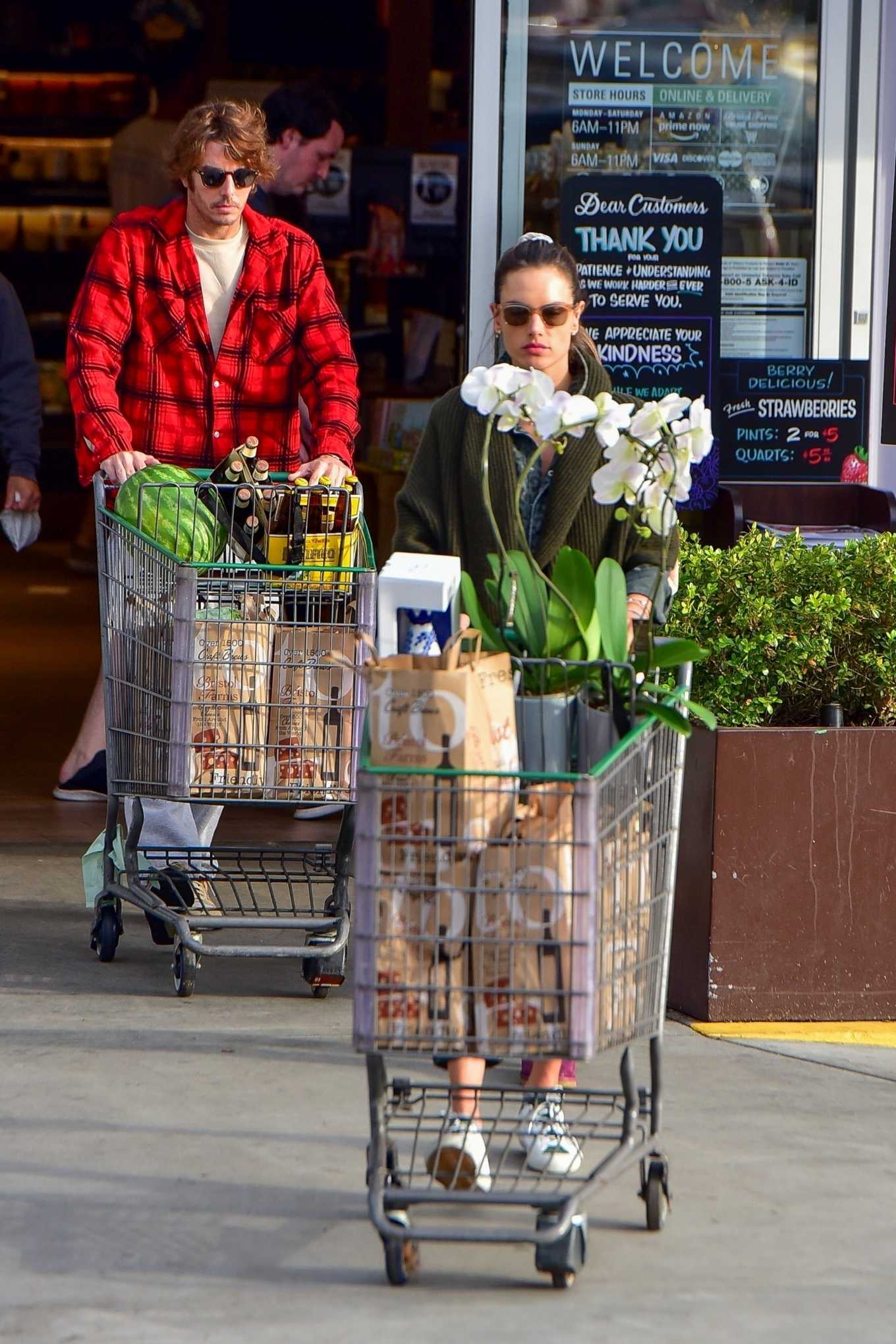Alessandra Ambrosio â€“ Grocery shopping during â€˜Stay at homeâ€™ order in Santa Monica
