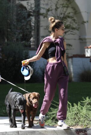 Alessandra Ambrosio - On a stroll with their dogs around Brentwood