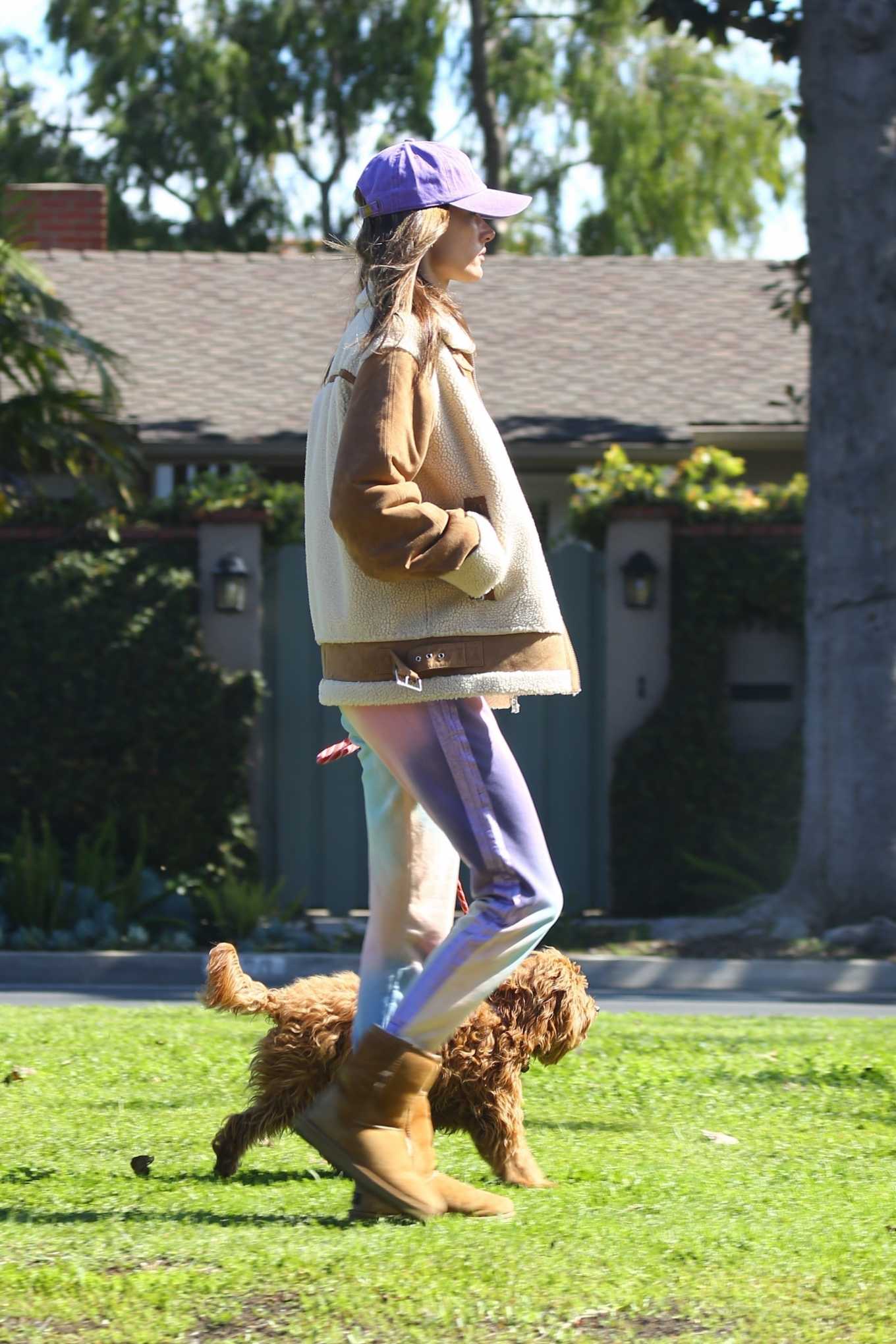 Alessandra Ambrosio â€“ Out with her dogs in Santa Monica