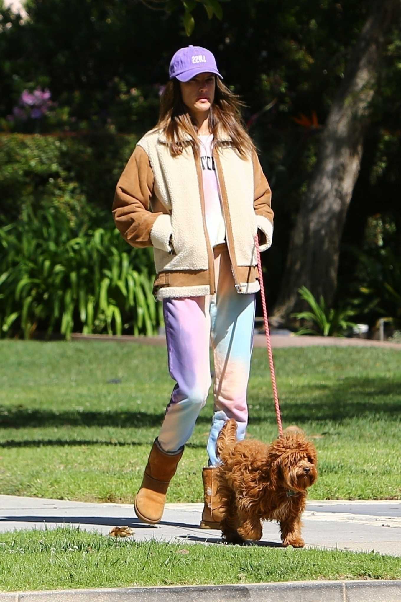 Alessandra Ambrosio â€“ Out With Her Dogs In Santa Monica