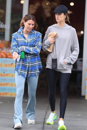 Alessandra Ambrosio - Shopping at Bristol Farms in West Hollywood