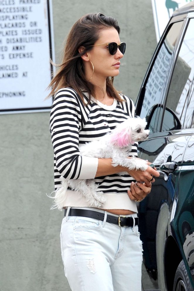 Alessandra Ambrosio takes her dog to the vet in Santa Monica
