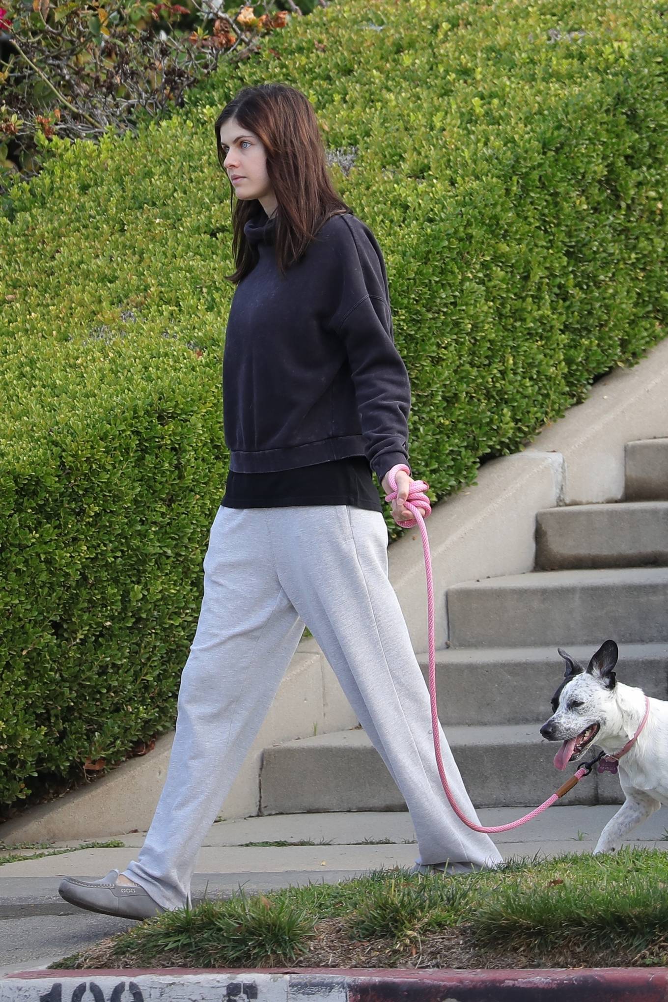 Alexandra Daddario - spotted with her dog near her home in Los Angeles