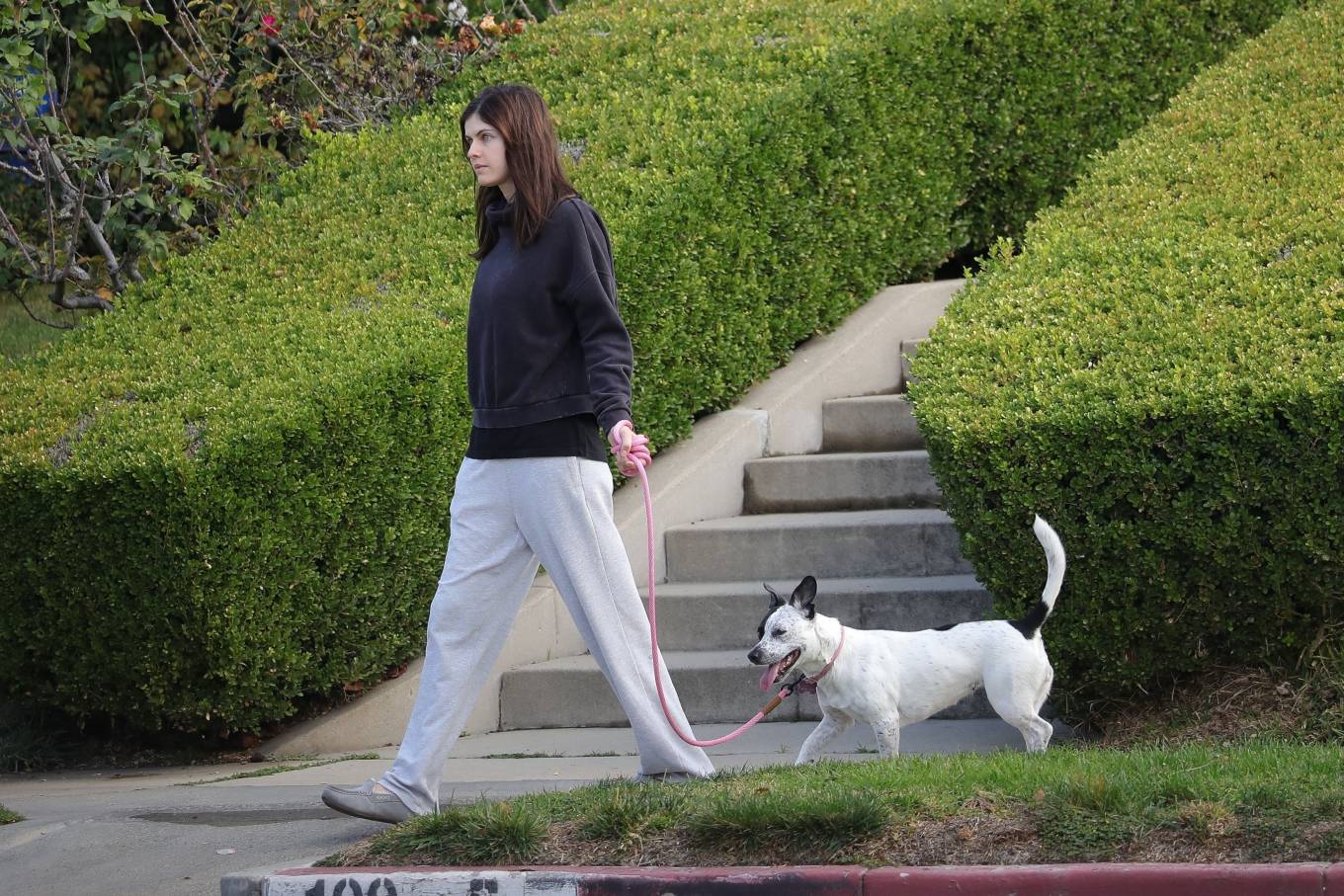 Alexandra Daddario 2021 : Alexandra Daddario – spotted with her dog near her home in Los Angeles-11