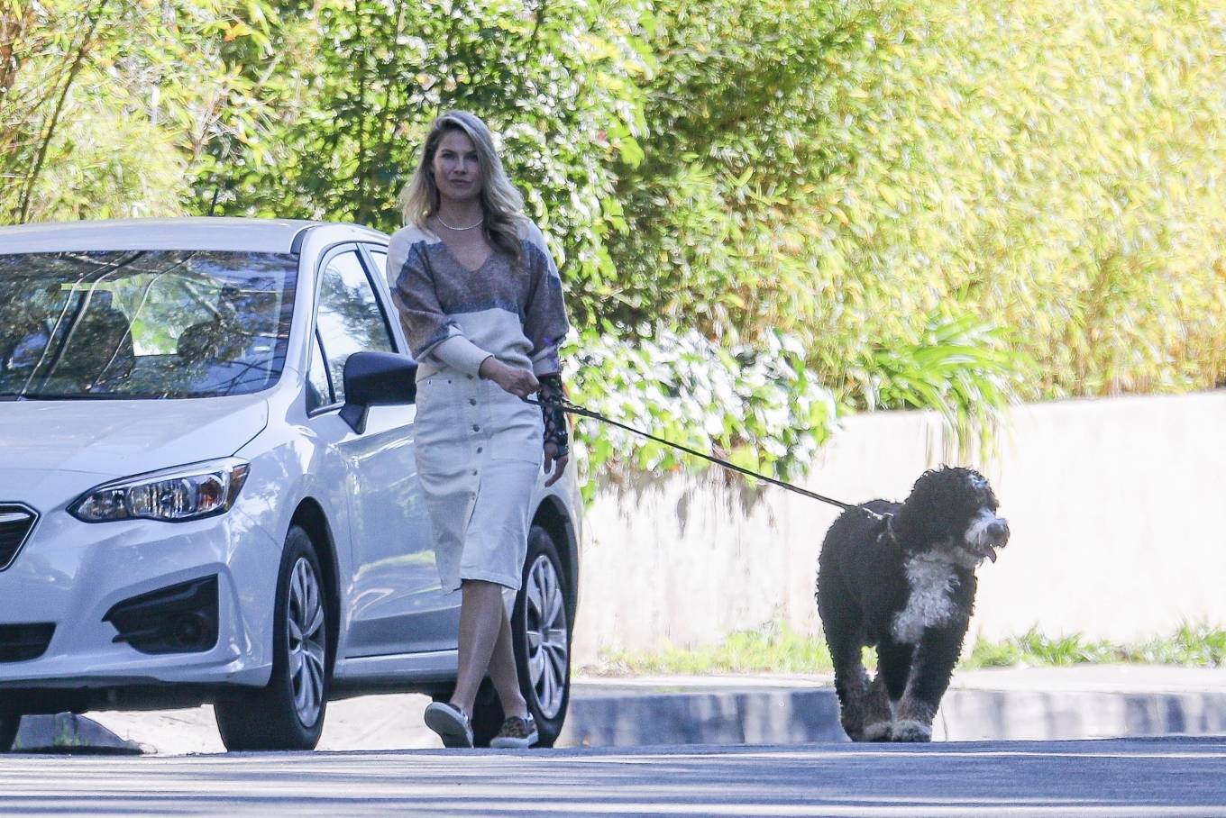 Ali Larter â€“ Seen while out for a walk with her dog in Pacific Palisades