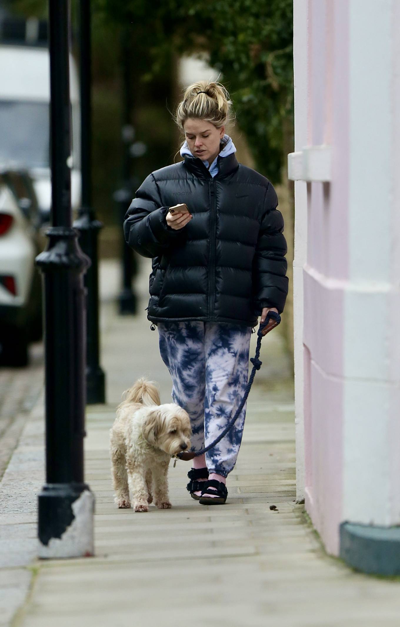 Alice Eve – Seen walking her dog in London