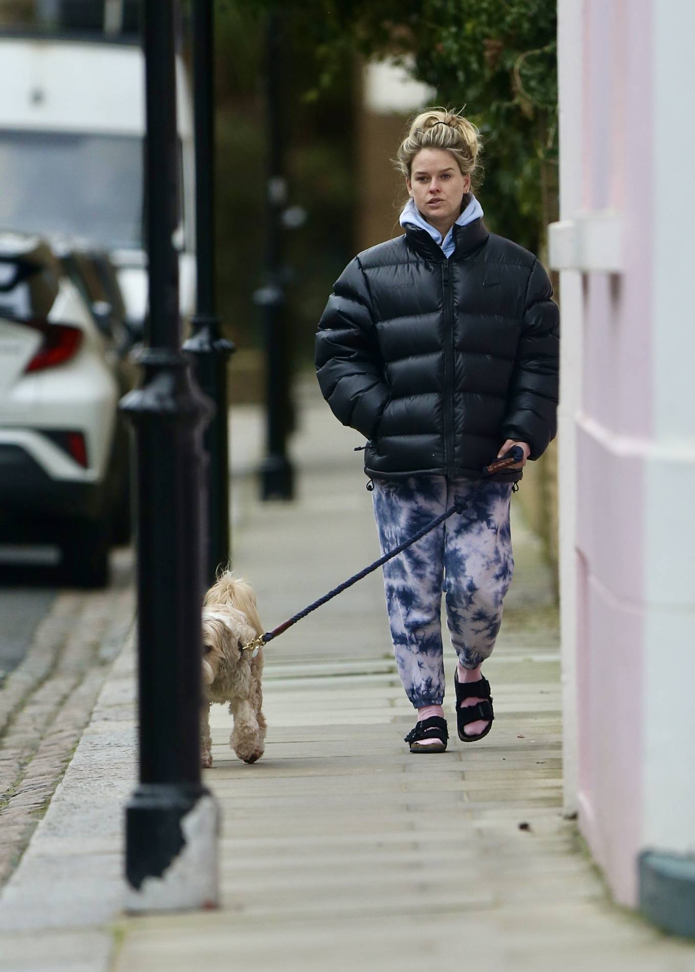 Alice Eve – Seen walking her dog in London