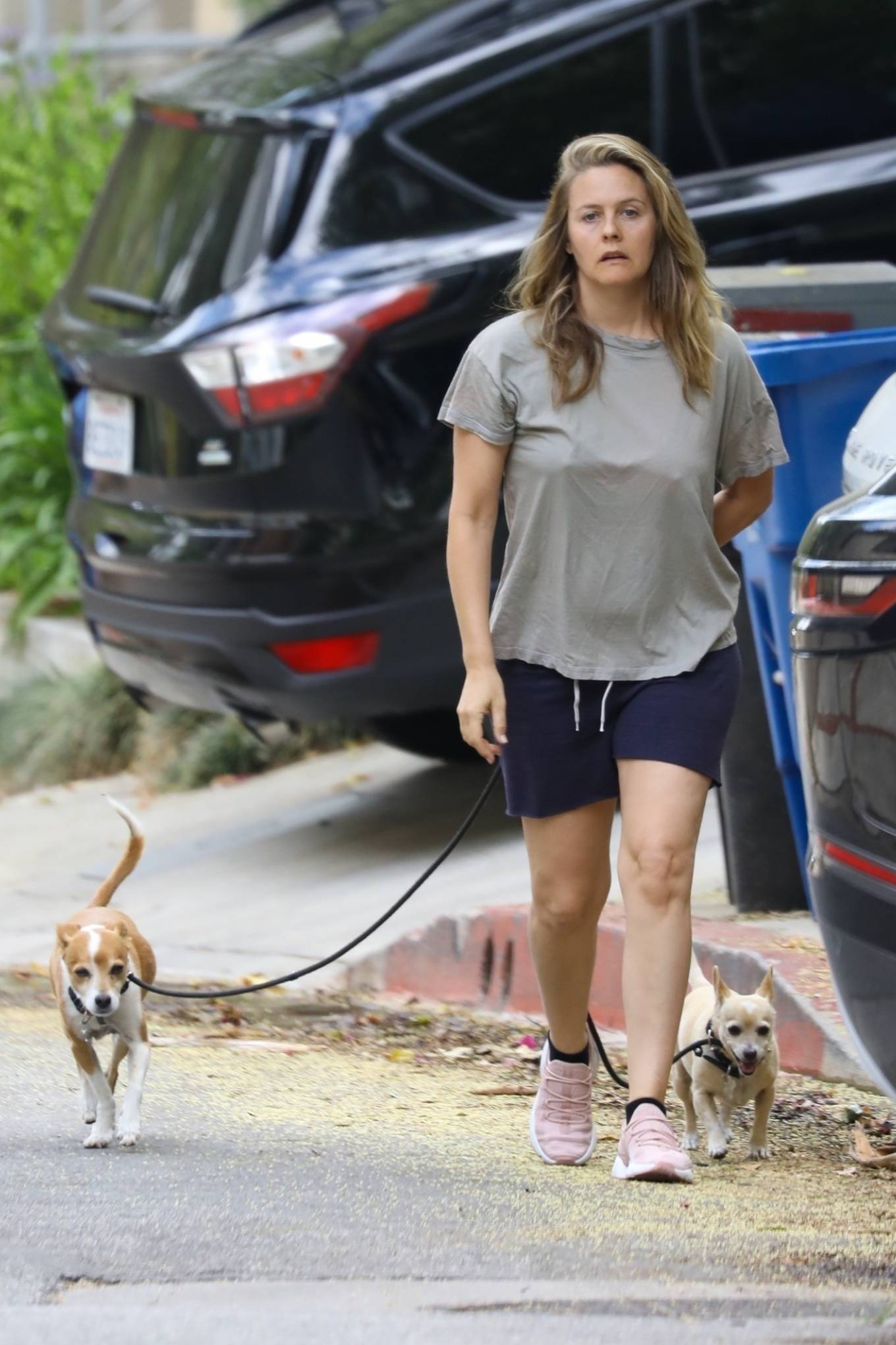 Alicia Silverstone - Walking her dogs in Los Angeles