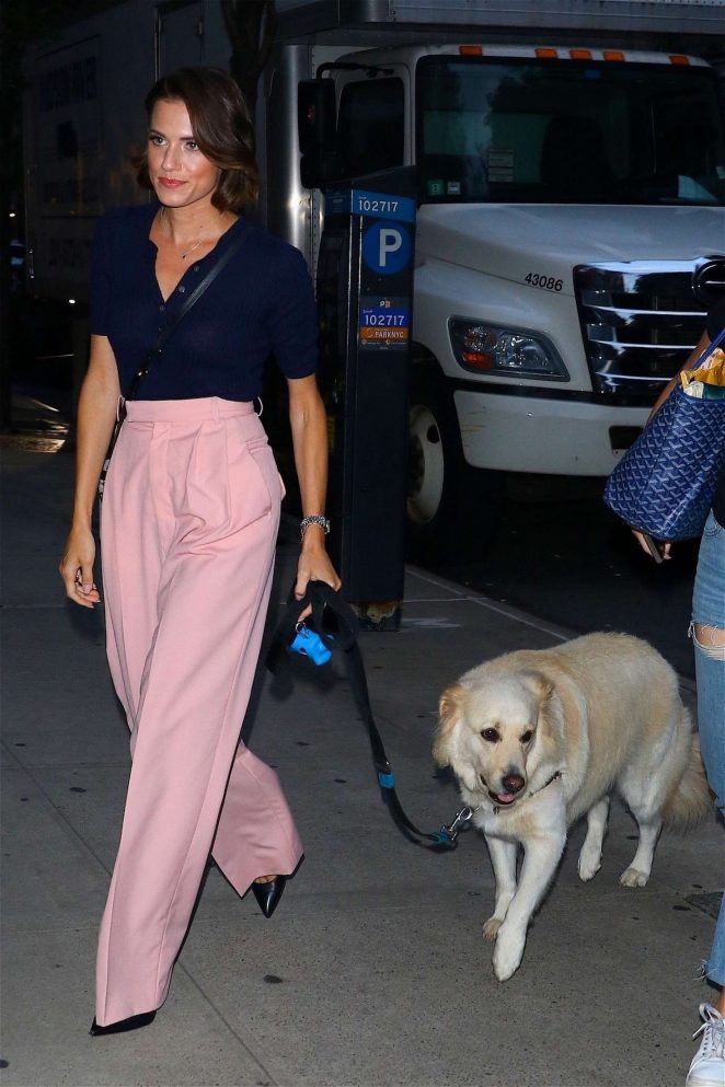 Allison Williams With her dog - Returns to her home in New York