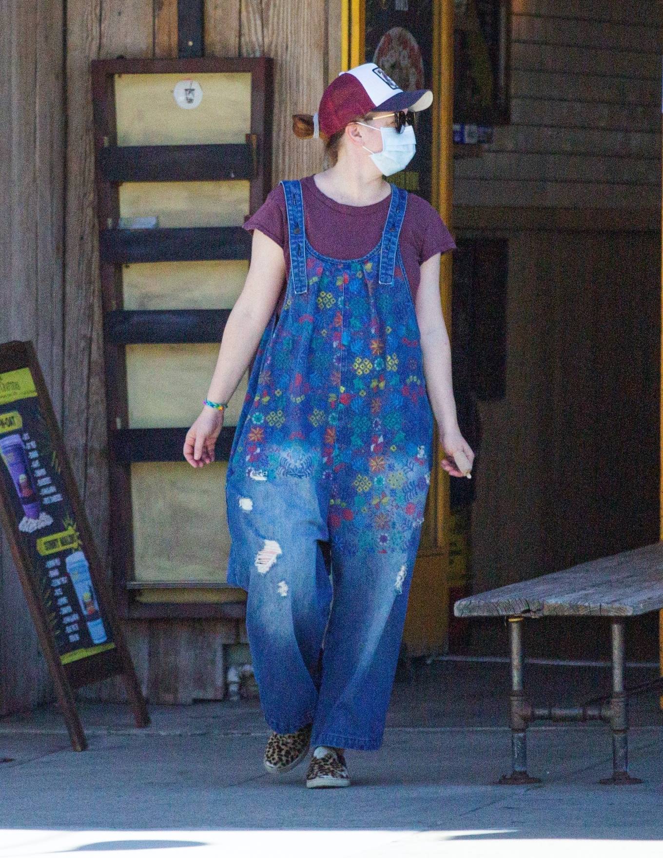 Alyson Hannigan â€“ Shopping at Ace Hardware store in Los Angeles