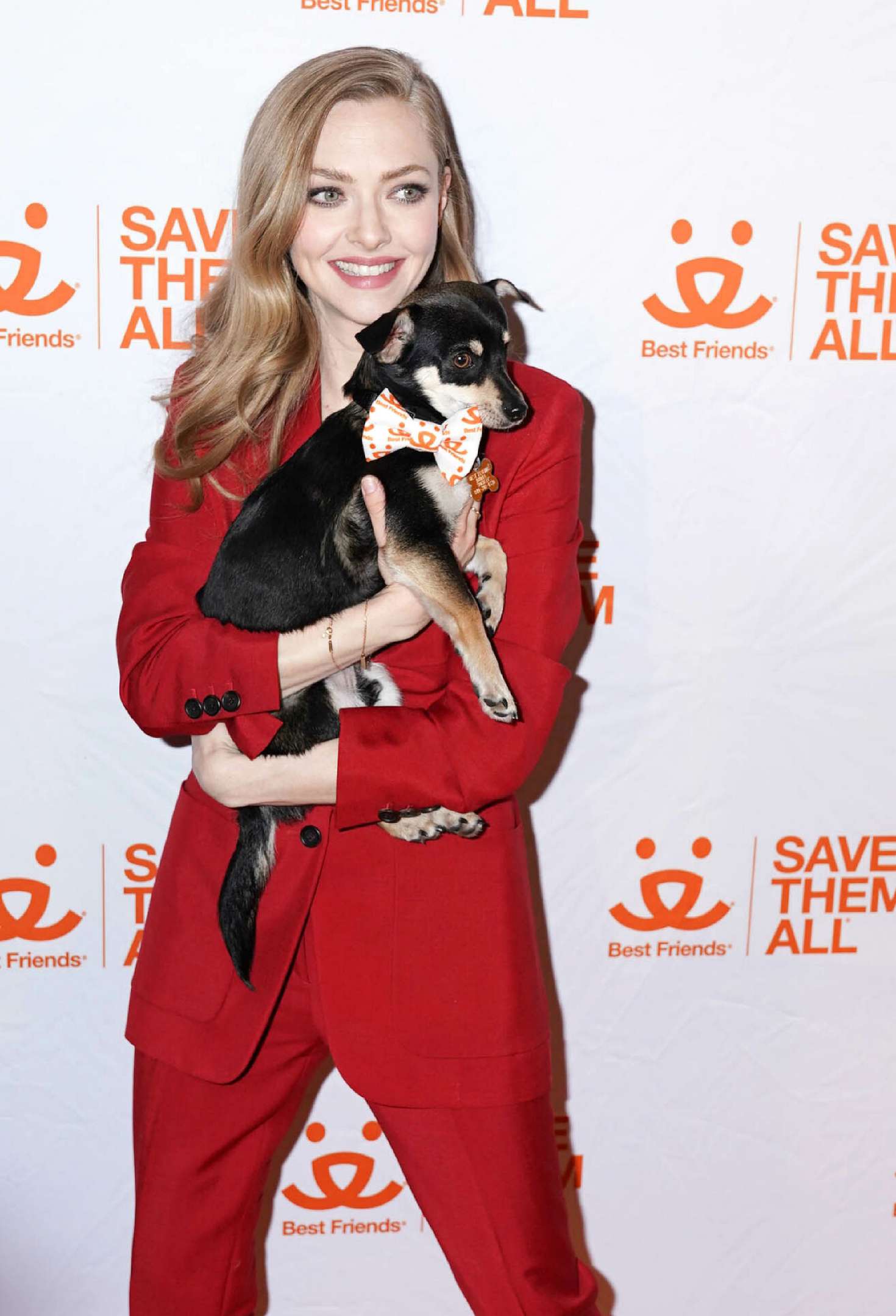 Amanda Seyfried - Best Friends Animal Society Benefit To Save Them All in NY