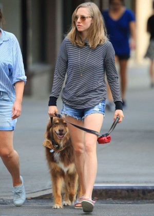 Amanda Seyfried out with Finn in New York