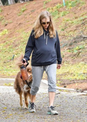 Amanda Seyfried takes her dog Finn for a walk in Los Angeles
