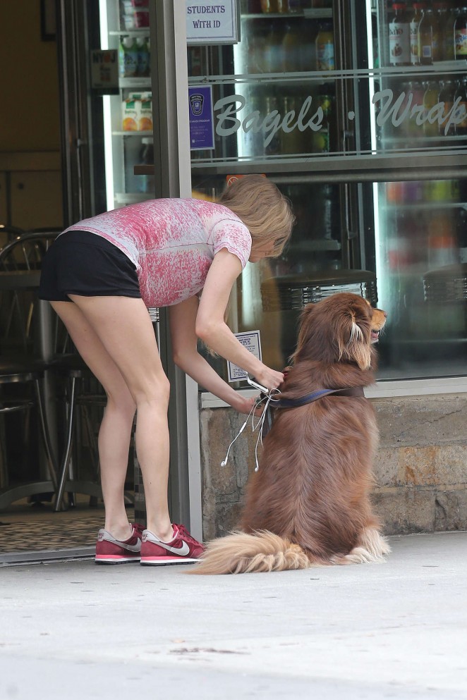 Amanda Seyfried in Shorts Walking her dog in NYC