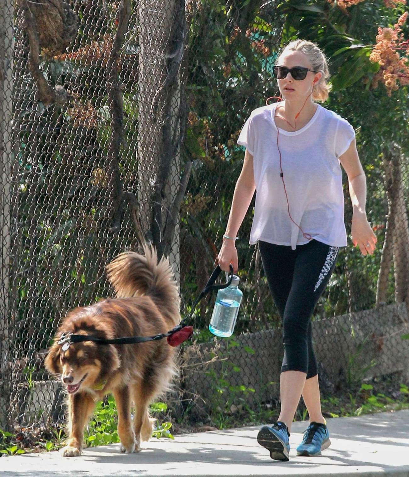 Amanda Seyfried 2016 : Amanda Seyfried: Walks Her Dog -09