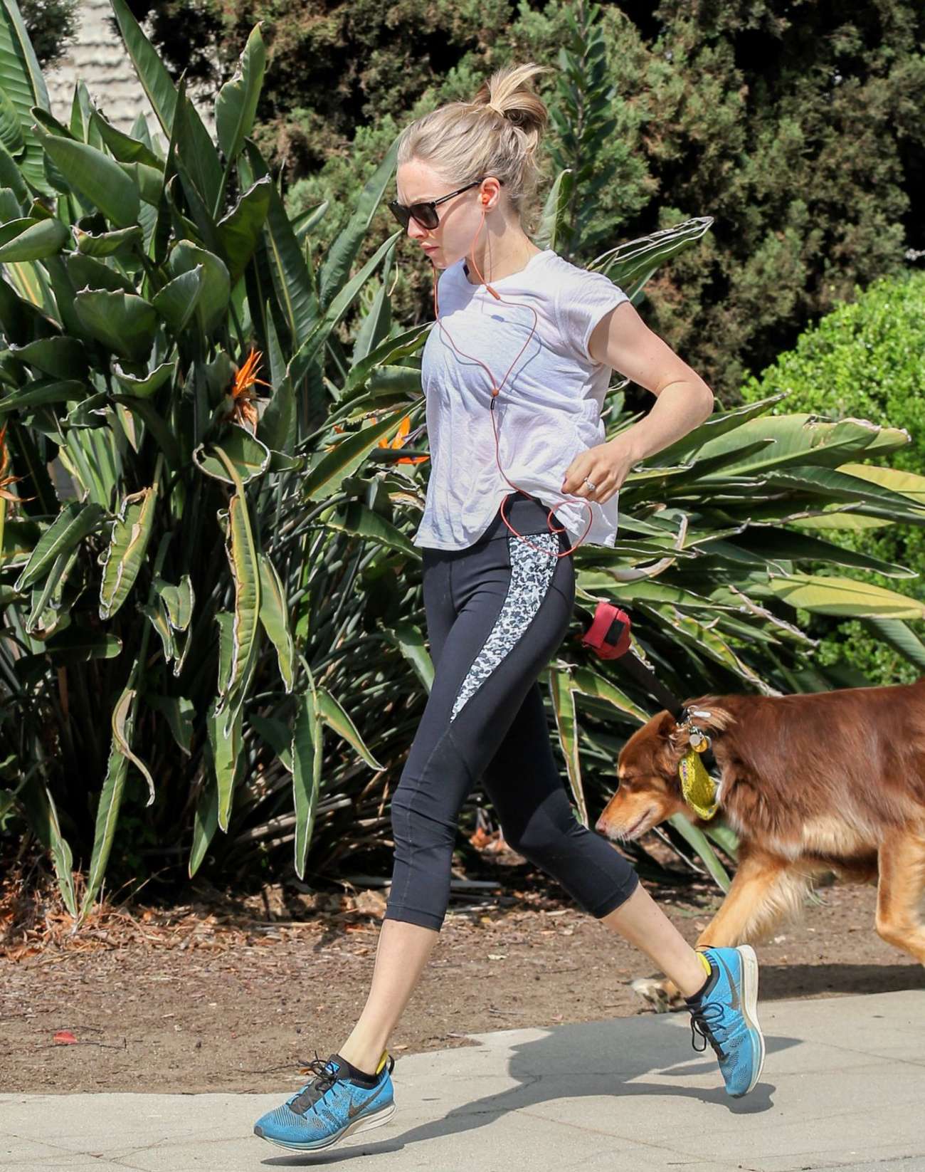Amanda Seyfried 2016 : Amanda Seyfried: Walks Her Dog -14