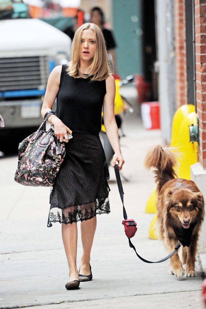 Amanda Seyfried with her dog in New York City
